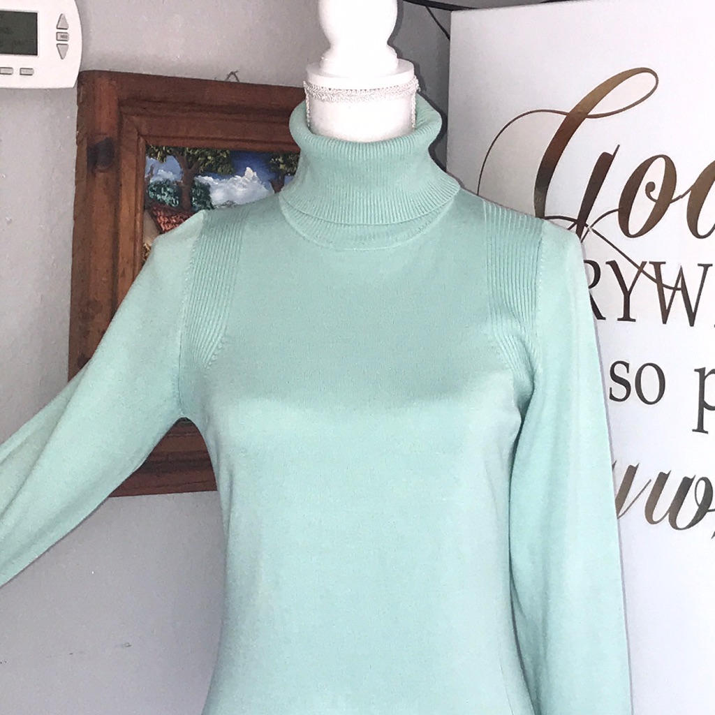 Mint Turtle Neck